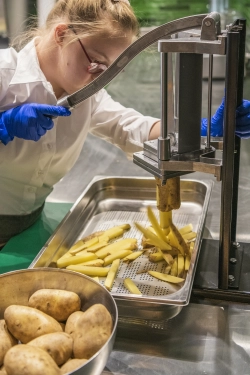 vers gemaakt polder friet 